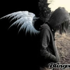 anamorphis