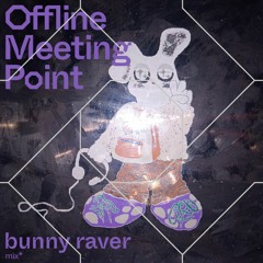 bunny raver * AUD-20221104-WA00