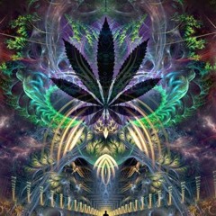 Follow the Light.mp3