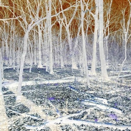 𝙥𝙤𝙬𝙚𝙧✱✱𝙡𝙞𝙣𝙚𝙨