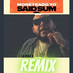 Said Sum (money bag yo) Remix