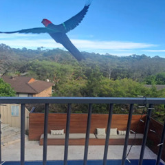 I Don't Understand Anything Anymore