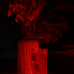 Una primera pequeña sesión Absurda