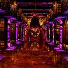 Don Diablo Tomorrowland Belgium 2019 - W2