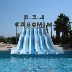 py010