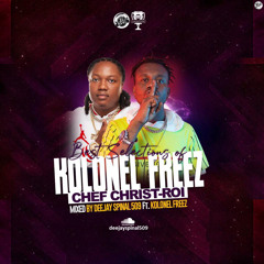 BEST SELECTIONS OF KOLONEL FREEZ ( CHEF CHRIST-ROI )