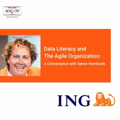 Data Literacy and  The Agile Organization:   A Conversation with Sanne Hombroek