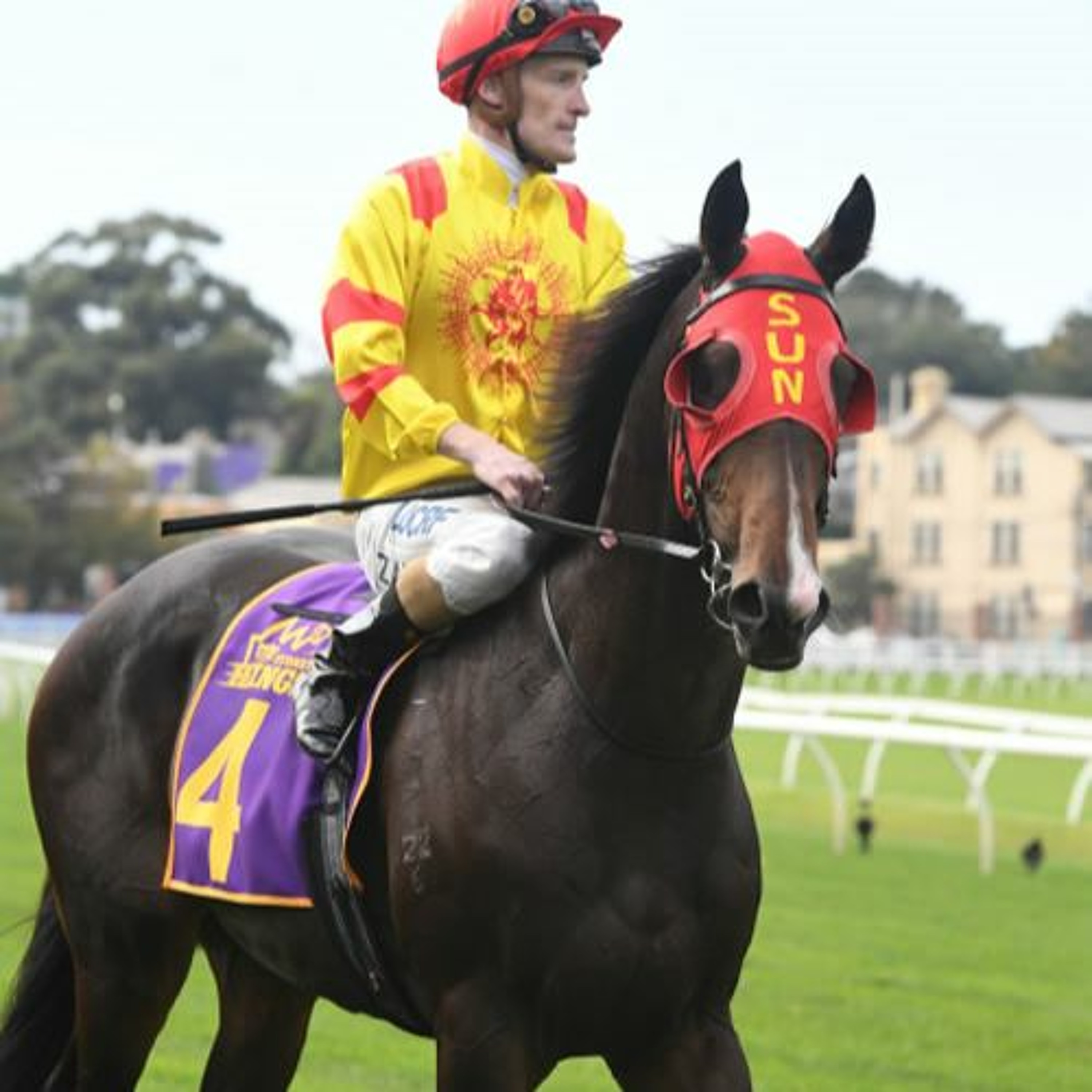 Mornington Cup Punting Preview 2020