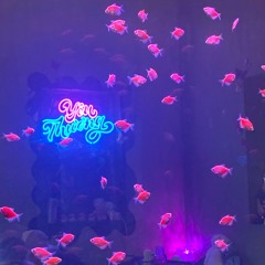Chẳng mấy khi.demo