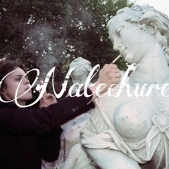 wanna fuck ona gang natechure ft zyonova prod by zyonova  edited by xanplots