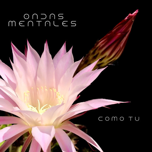 Como Tú