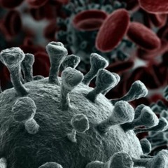 Propaganda- Faston Vinyl Set