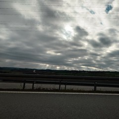 Leben Pur