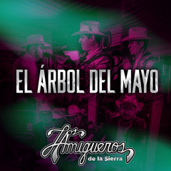 El Árbol Del Mayo