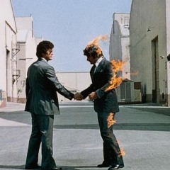 Shine On You Crazy Diamond (Pts. 1-5)