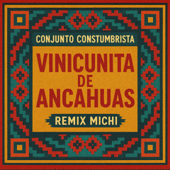 Conjunto Costumbrista - Vicunita De Ancahuas- ( MICHI REMIX )
