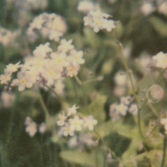 새소년-난춘(亂春).Guitar_cover.mp3