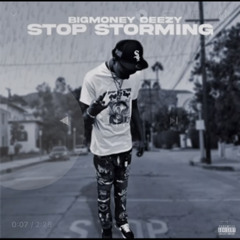 BigmoneyDeezy-Stop Storming