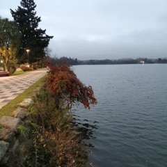 lejanos cielos sin guitarra