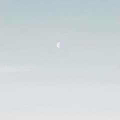 Deep Breakfast 304 ~ Madera