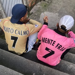 Mente Fria & Muito Calmo  - TRECHO 🇧🇷🔌 "feat" AGV (Prod.3t)