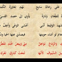 عنترة بن شداد - هل غادر الشعراء من متردم