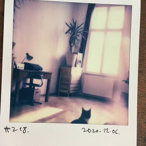 Stream the cat enters the room by barney grapes Listen online for