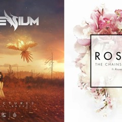 Fractures X Roses - Illenium x Chainsmokers (Mashup)