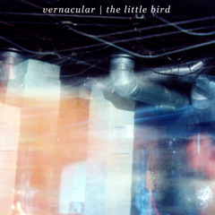 Vernacular with Black Ox Orkestar, live @ The Grog Shop 2004