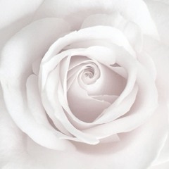 - апфс слепые. (english cover) blinds