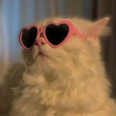 lòi (lofi typebeat)