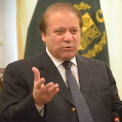 Tunay Jab Bhi Pukara Hamein Aye Watan | PMLN Anthem Song