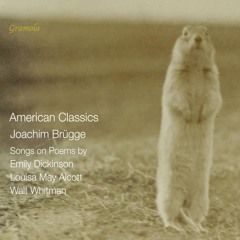 Paula Kranjc, Michael Kofle, Leto Križanič Žorž ua. - Of All the Souls that Stand Create