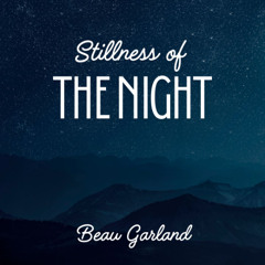 Stillness of the Night