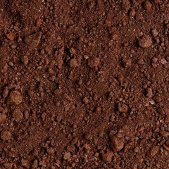 Clumpin Mud(complete)