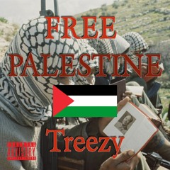 Free Palestine (prod.silver)