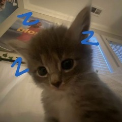 lil soda boi - too fast and too slow (silencedgrave flip)