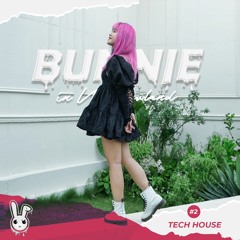 Bunnie in Wonderland #2: Tech House