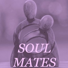 /ZDCOM --- SOUL MATES - ZDCOM & Max feat Special Cecilia & Ian Greaves IPG1/