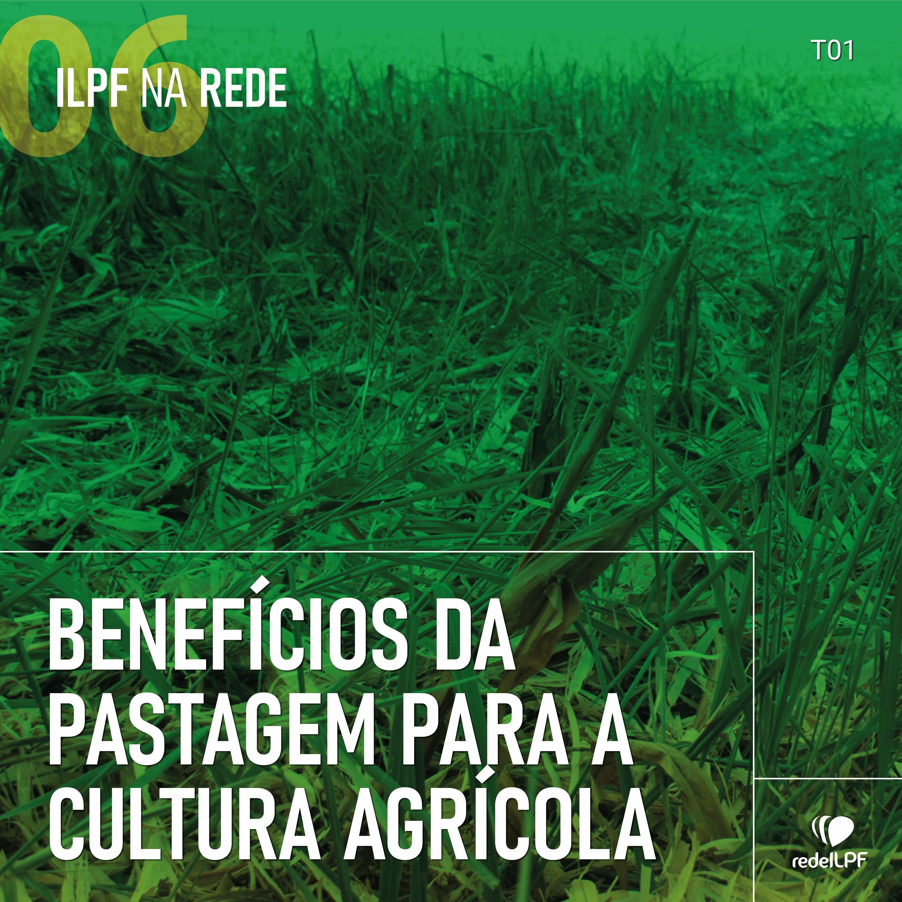 ILPF Na Rede