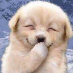 Cost Too Much - ANYOpponent