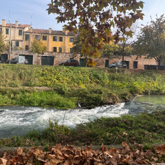 walking to see the egret and read