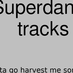 hk_Superdance_tracks_582