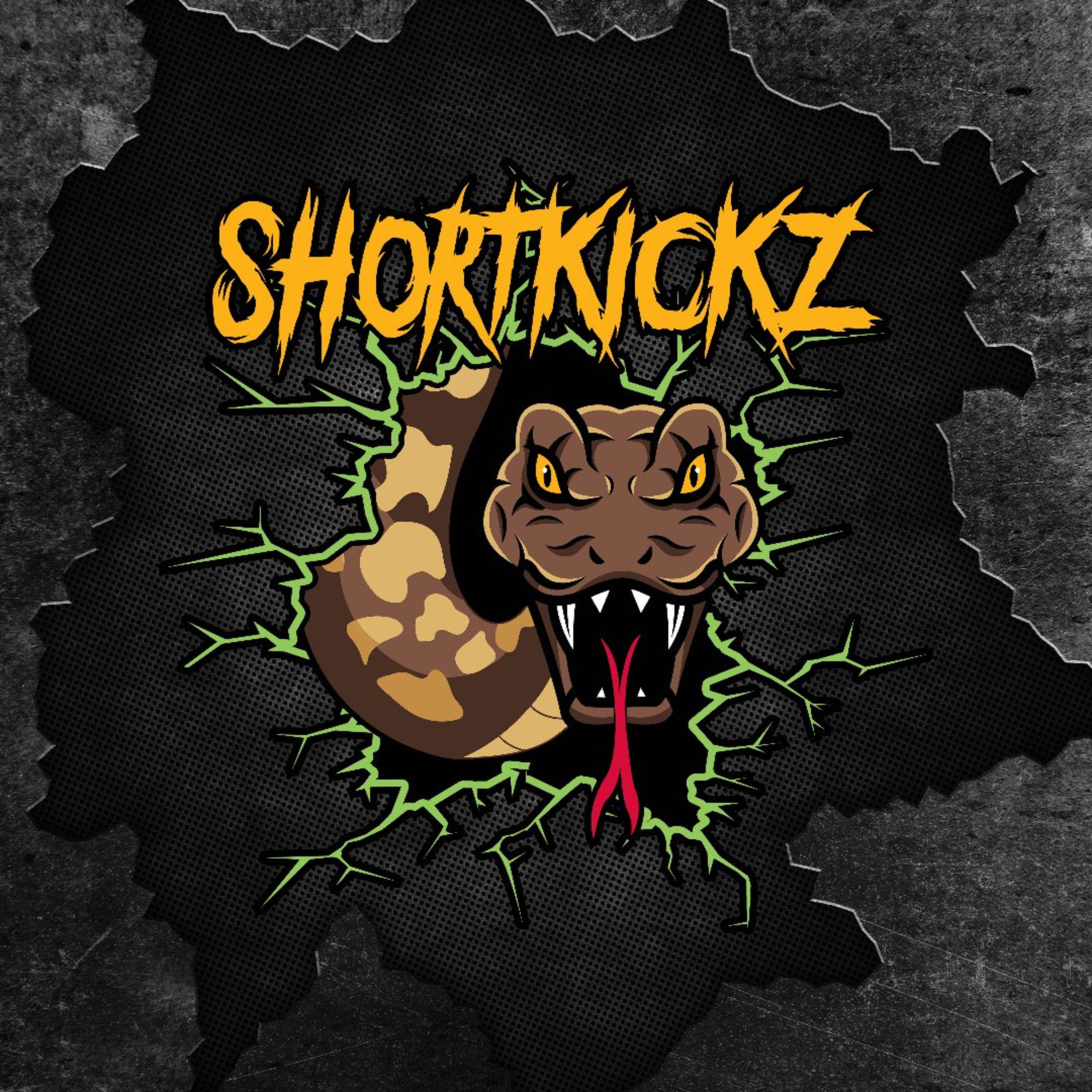 SHORTKICKZ / TOXIC SICKNESS RESIDENCY SHOW #1 / AUGUST / 2026 episode artwork