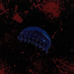 Barrette blue