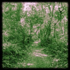 Jungle Music (Prod by HELIXX)