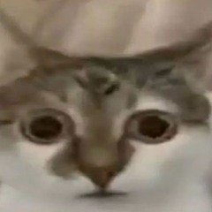 AREWME (prod. faint)