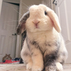 Troche sie przyzwyczailem