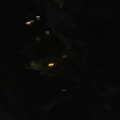 i spoke to you in a dream