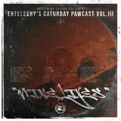 Entelechy's Caturday Pawcast Vol.III - Nine Lives